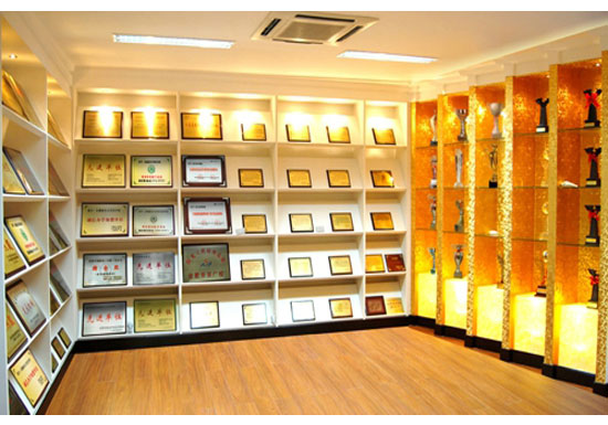 榮譽(yù)獎(jiǎng)項(xiàng)